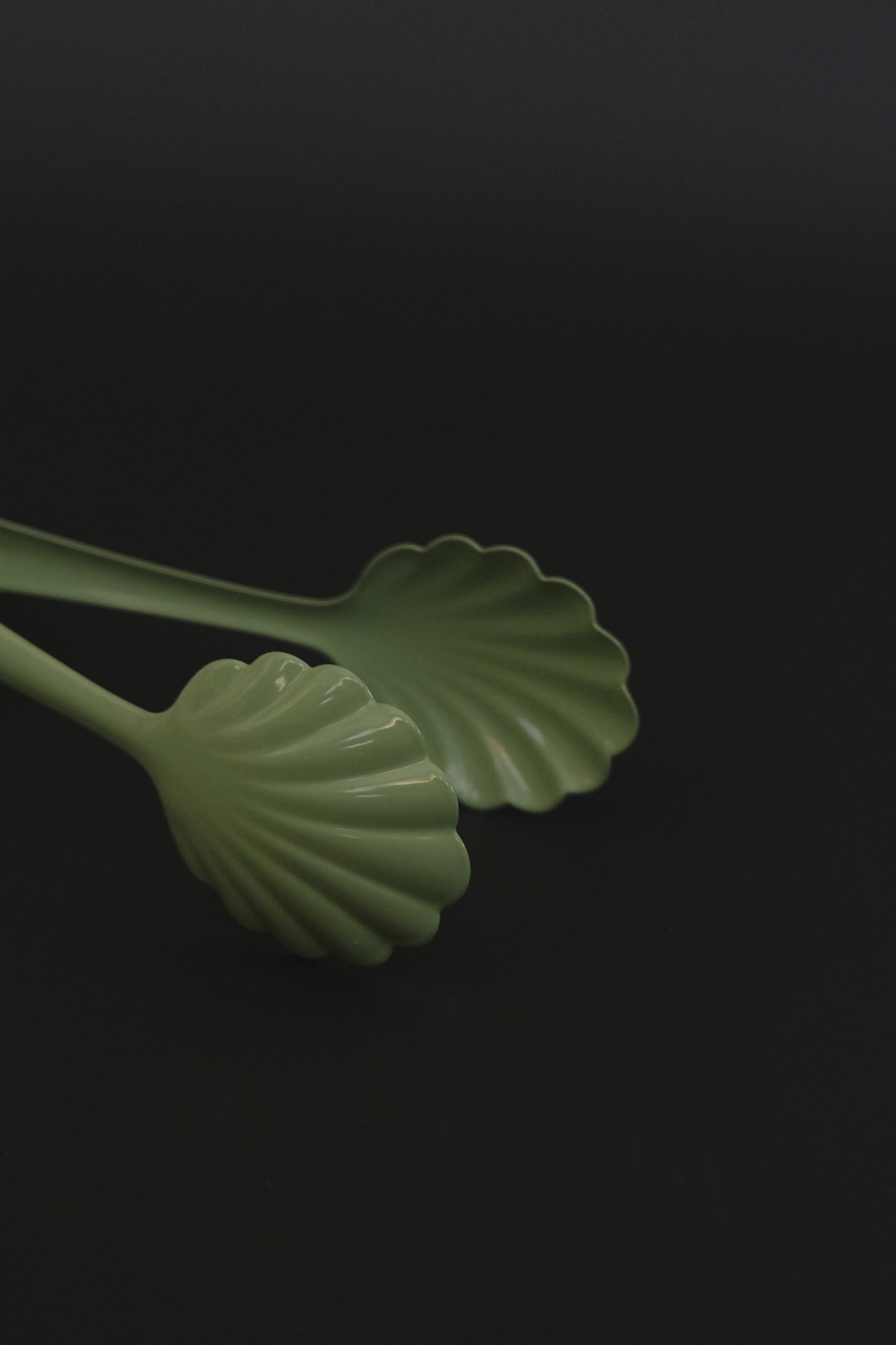 Pastel green 21cm bread tong overhead view – Roger Orfevre