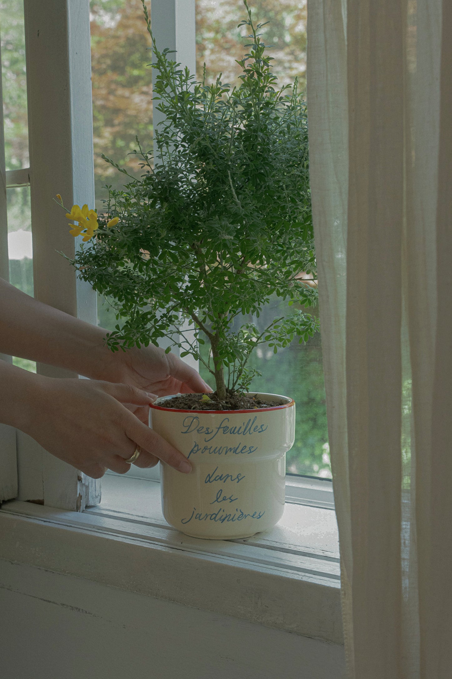 Offline Mode Planter (Lemon Sorbet)