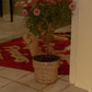 Offline Mode Planter (Toffee)