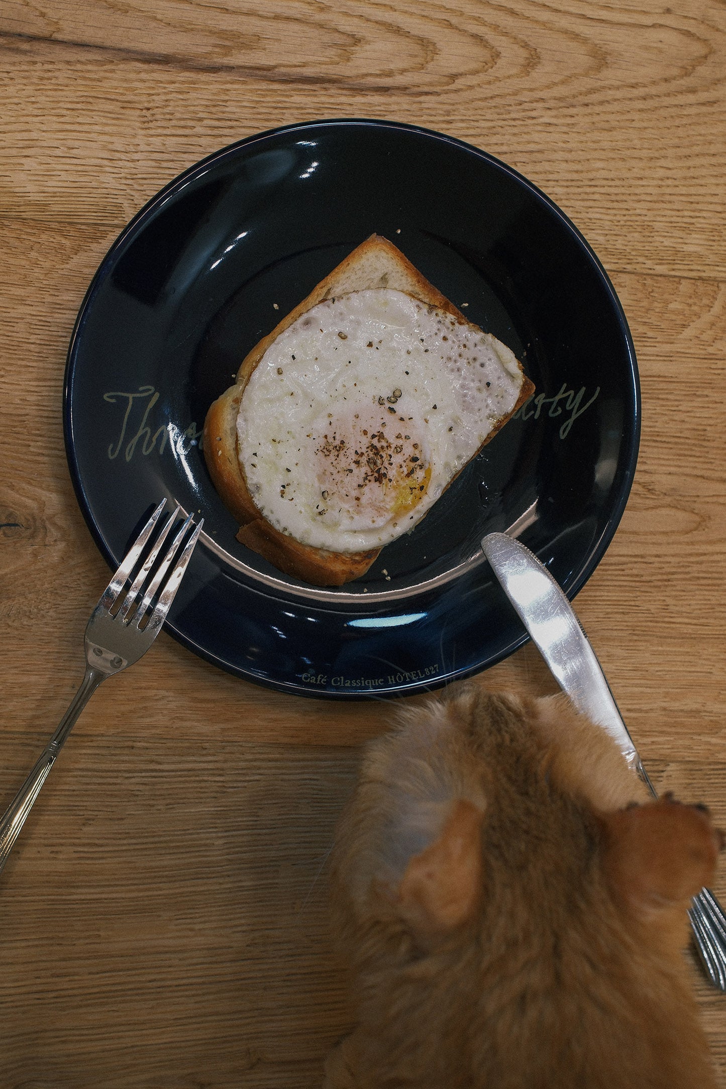 Poétique Flat Plate (Indigo)